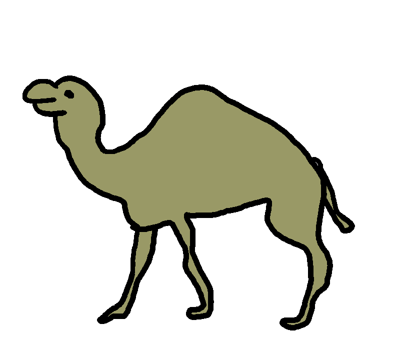 camel walk cycle